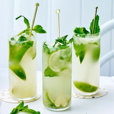 Feb21-mojito-976x549